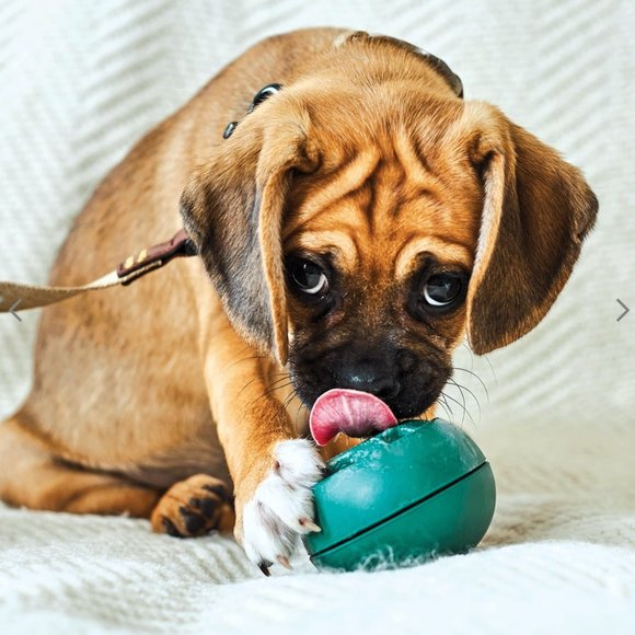 The Pupsicle—The Best Toy Known to Dog! NWT for small dogs
